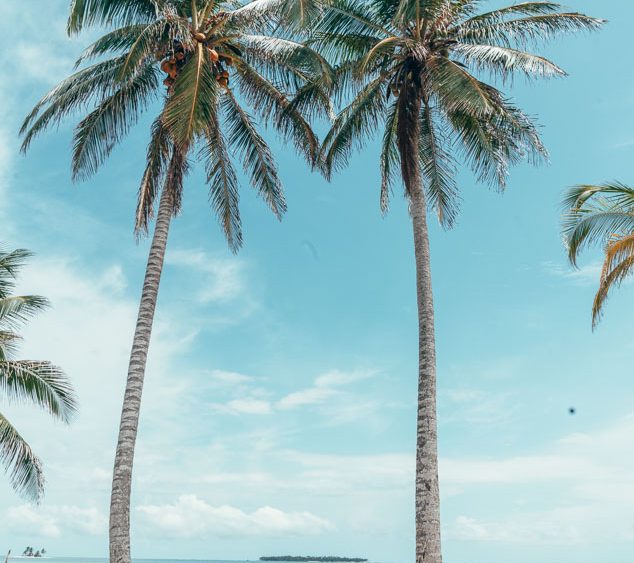 San-Blas-Islands-Panama-Palm-Trees-and-Boat-on-the-Beach-1