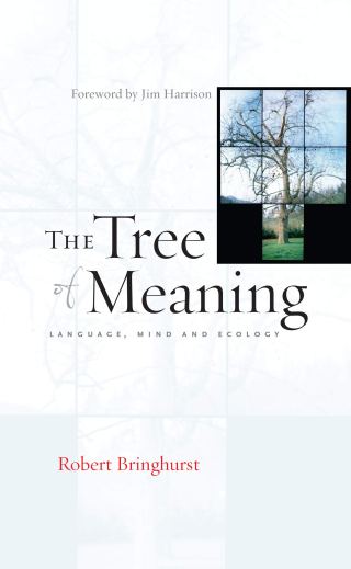 Saying the Ineffable: Poetry and the Language of Silence