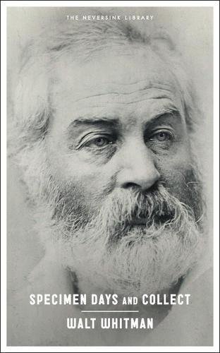 The Unphotographabe: Walt Whitman on Birds Migrating at Midnight
