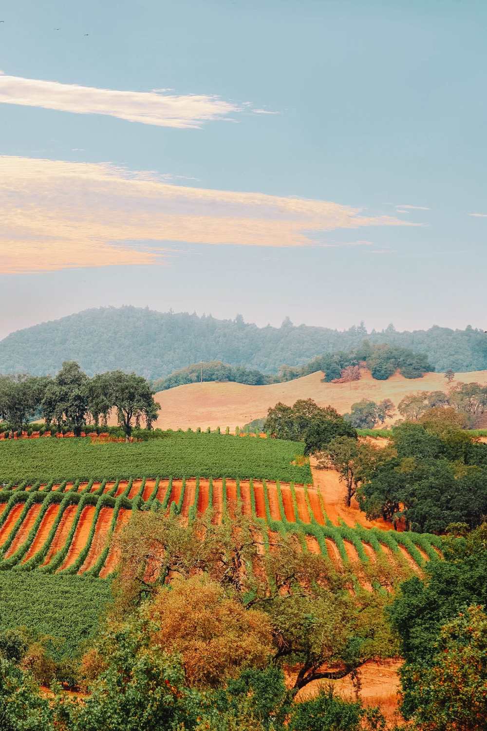 Best things to do in Napa Valley California