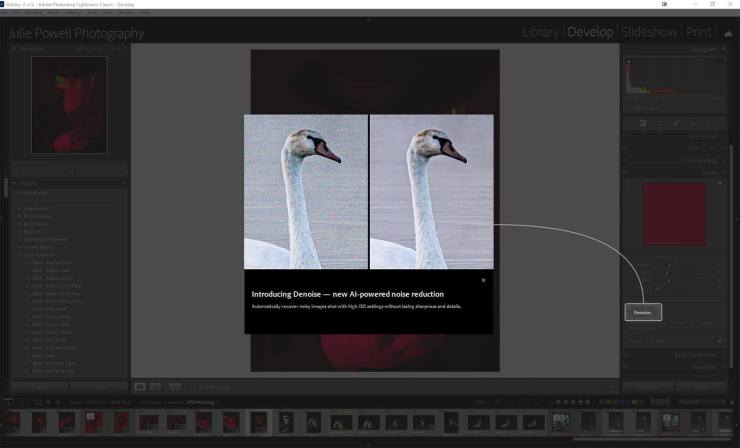 New AI Noise Reduction in Lightroom