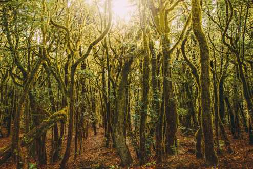 5 Surprisingly Tropical Islands To Visit In Europe (10)