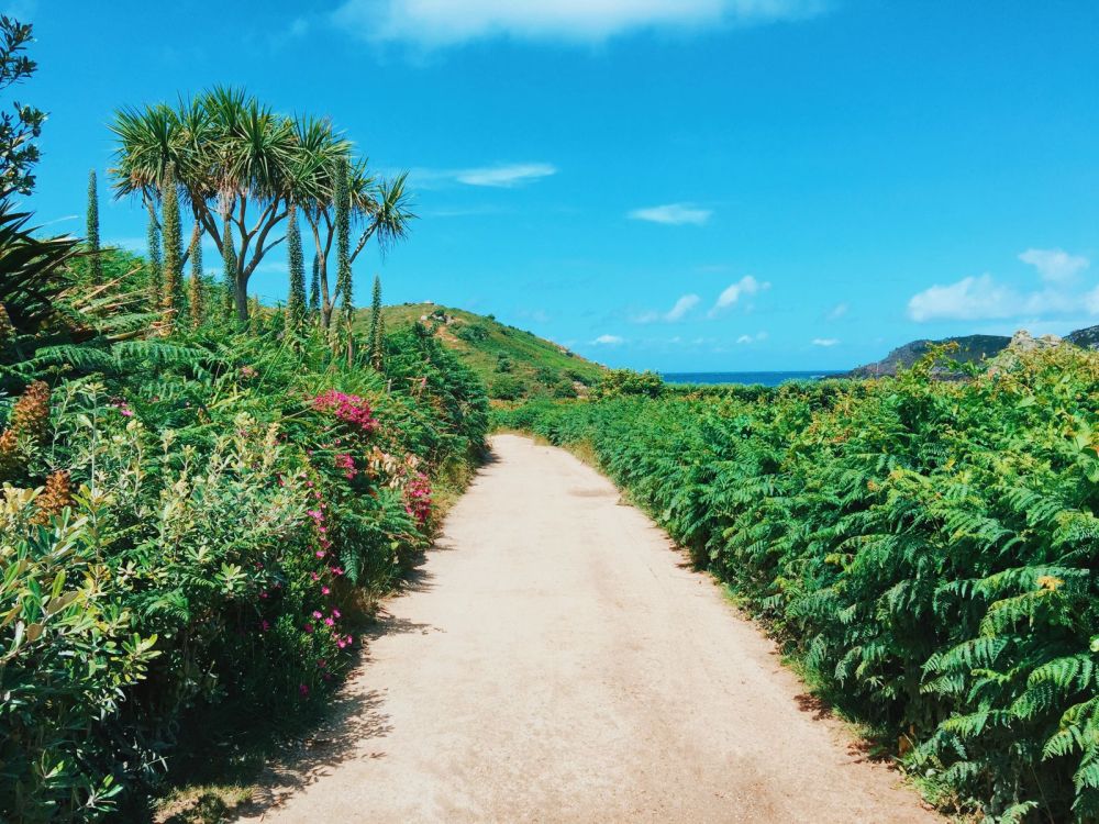 First Impressions Of The Isles Of Scilly... (7)