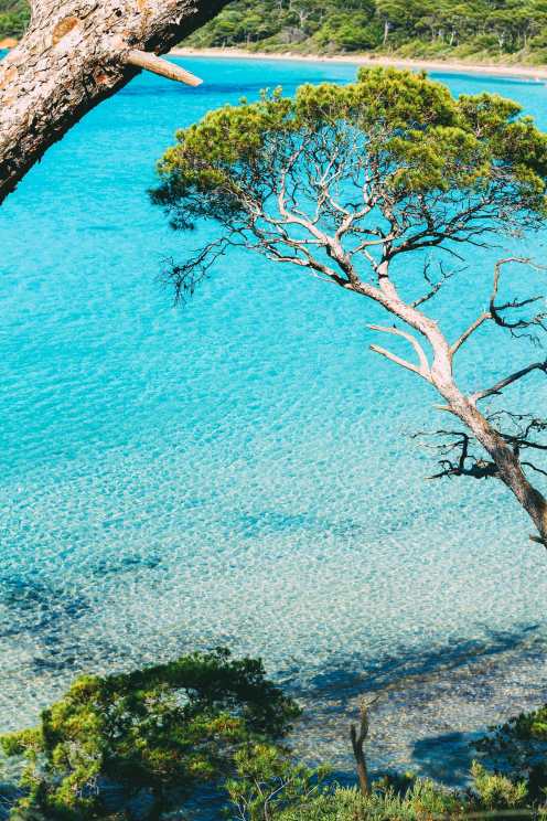 5 Surprisingly Tropical Islands To Visit In Europe (5)