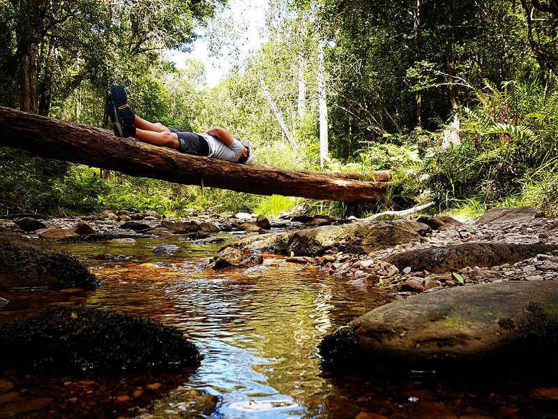 Garden Route Gem: Things to Do in Knysna – OAK COVER Magazine
