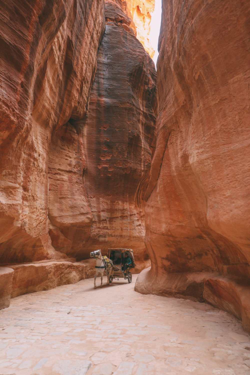 Searching For The Best Viewpoint In Petra in Jordan