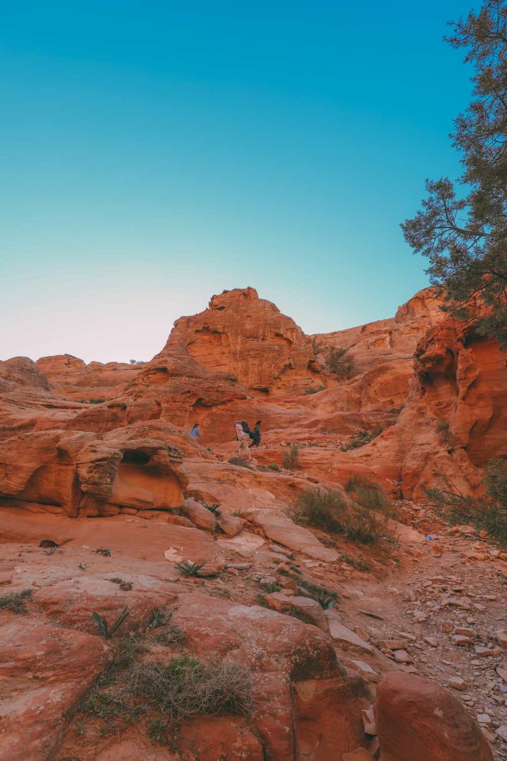 Searching For The Best Viewpoint In Petra in Jordan