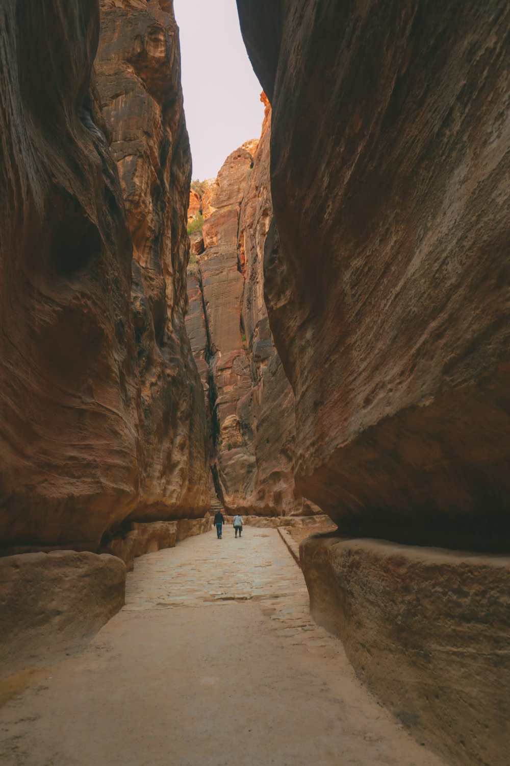Searching For The Best Viewpoint In Petra in Jordan